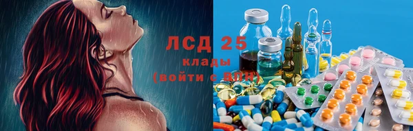 MESCALINE Елизово