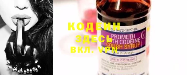 эйфоретик Елабуга