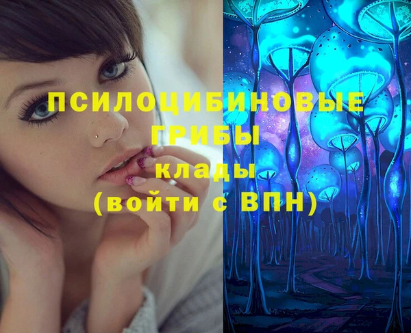 героин Ельня