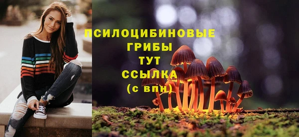 эйфоретик Елабуга